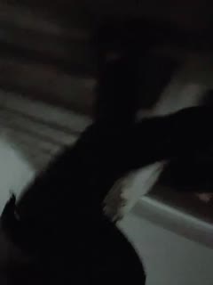 长相不错的少妇驾车出去玩车震，不过瘾再到酒店再来一炮第06集