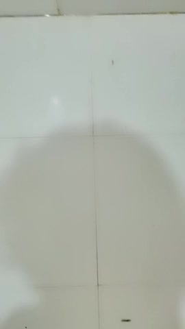 20210520，真实大学女生寝室，【大一妹妹】，旁边室友还在聊天，蚊帐内脱光抠穴，淫水横流，小翘臀摆动极具诱惑力 new