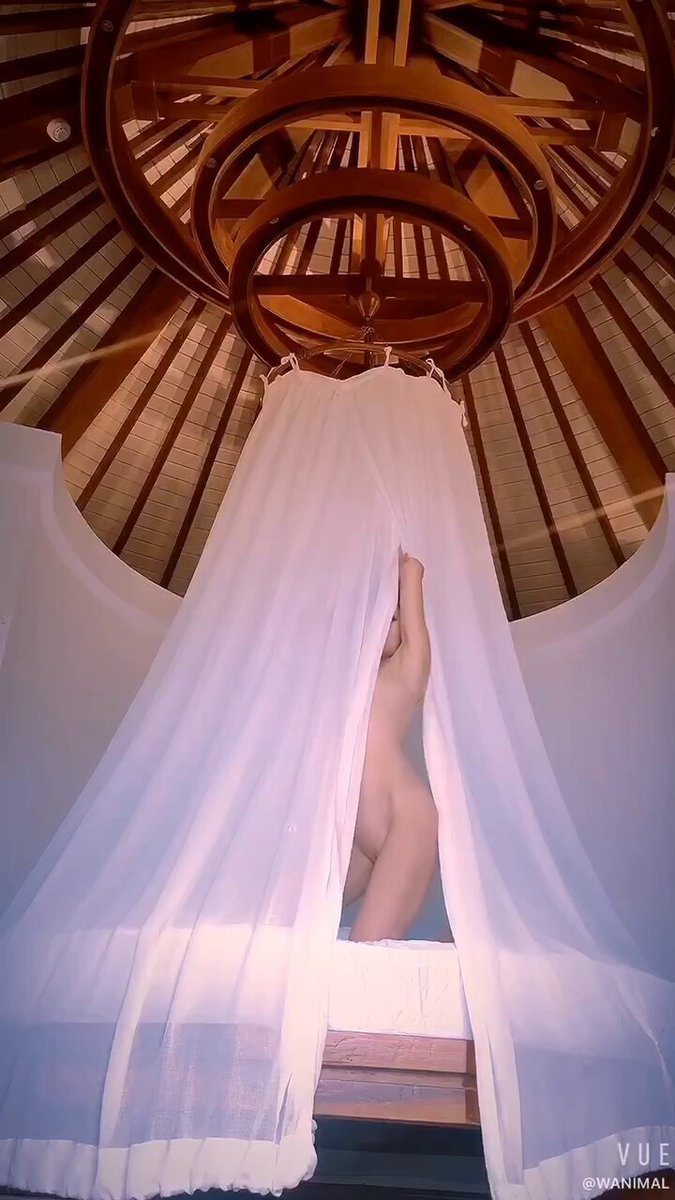 白纱